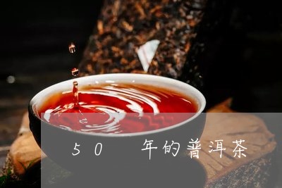 50 年的普洱茶/2023031629592